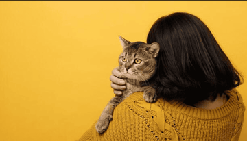 Person holding a cat in a warm jumper (seasonal cat care tips UK)