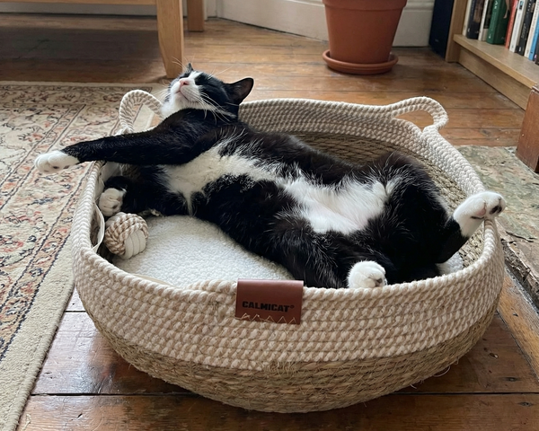 Didn’t think materials mattered… but they really do.