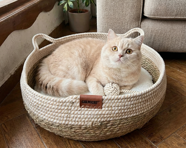 I thought it looked too simple… but that’s exactly why it works.