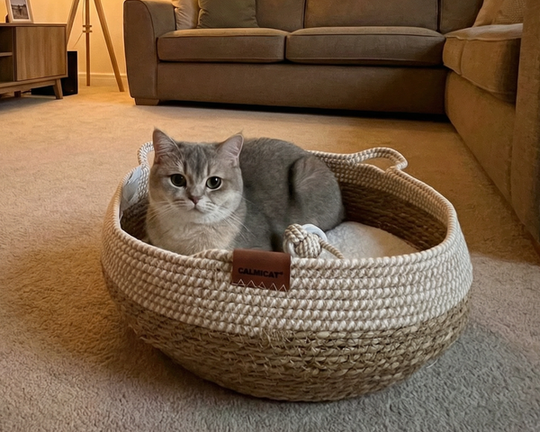 Worth it, especially after wasting money on cheap beds.