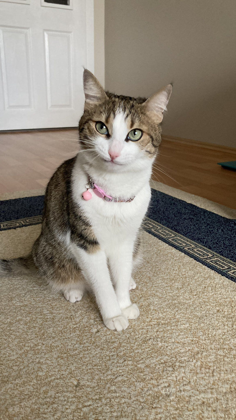 Emma R.