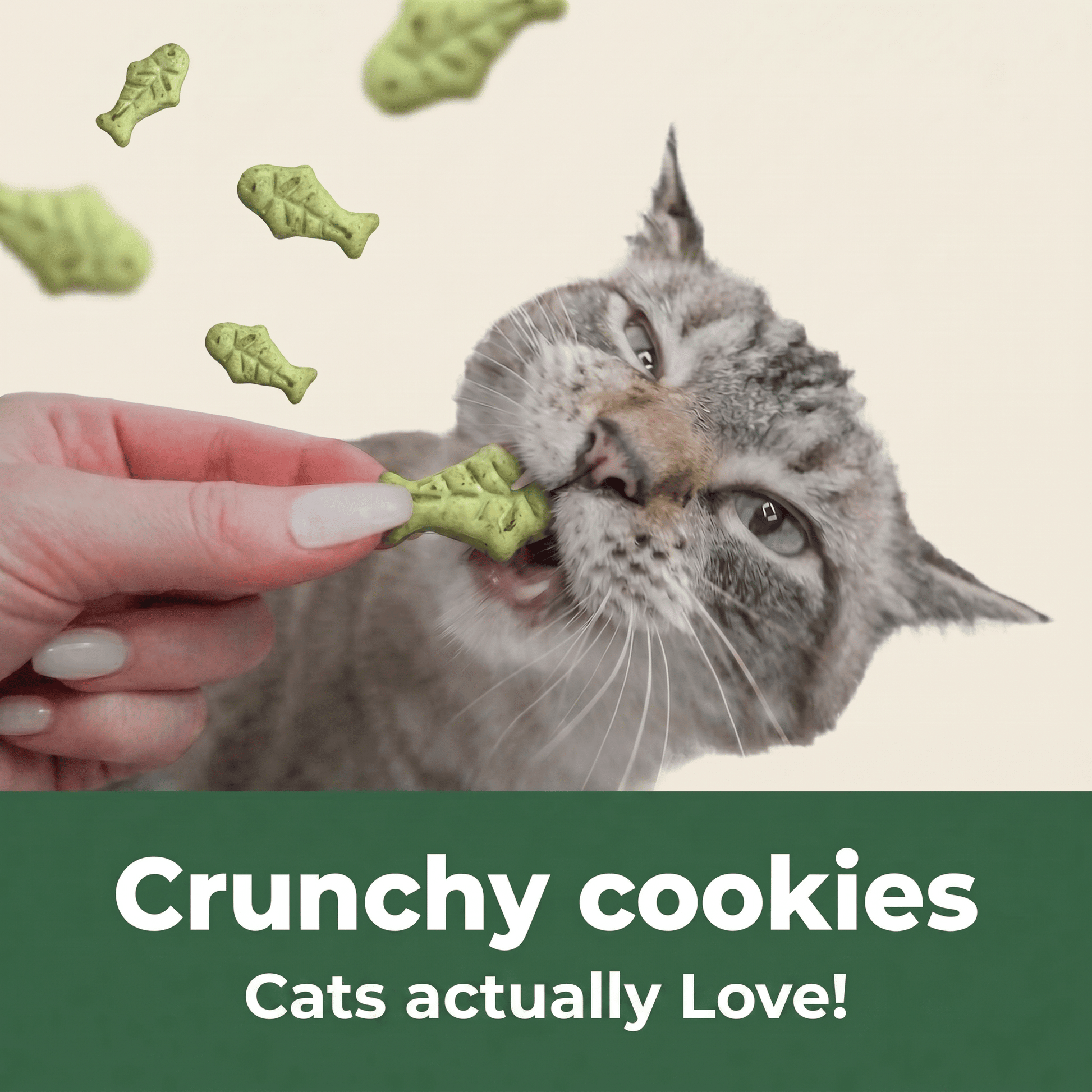 Feline Catgrass Crunchy Treats Cats Actually Eat Wimow™ - CalmiCat™
