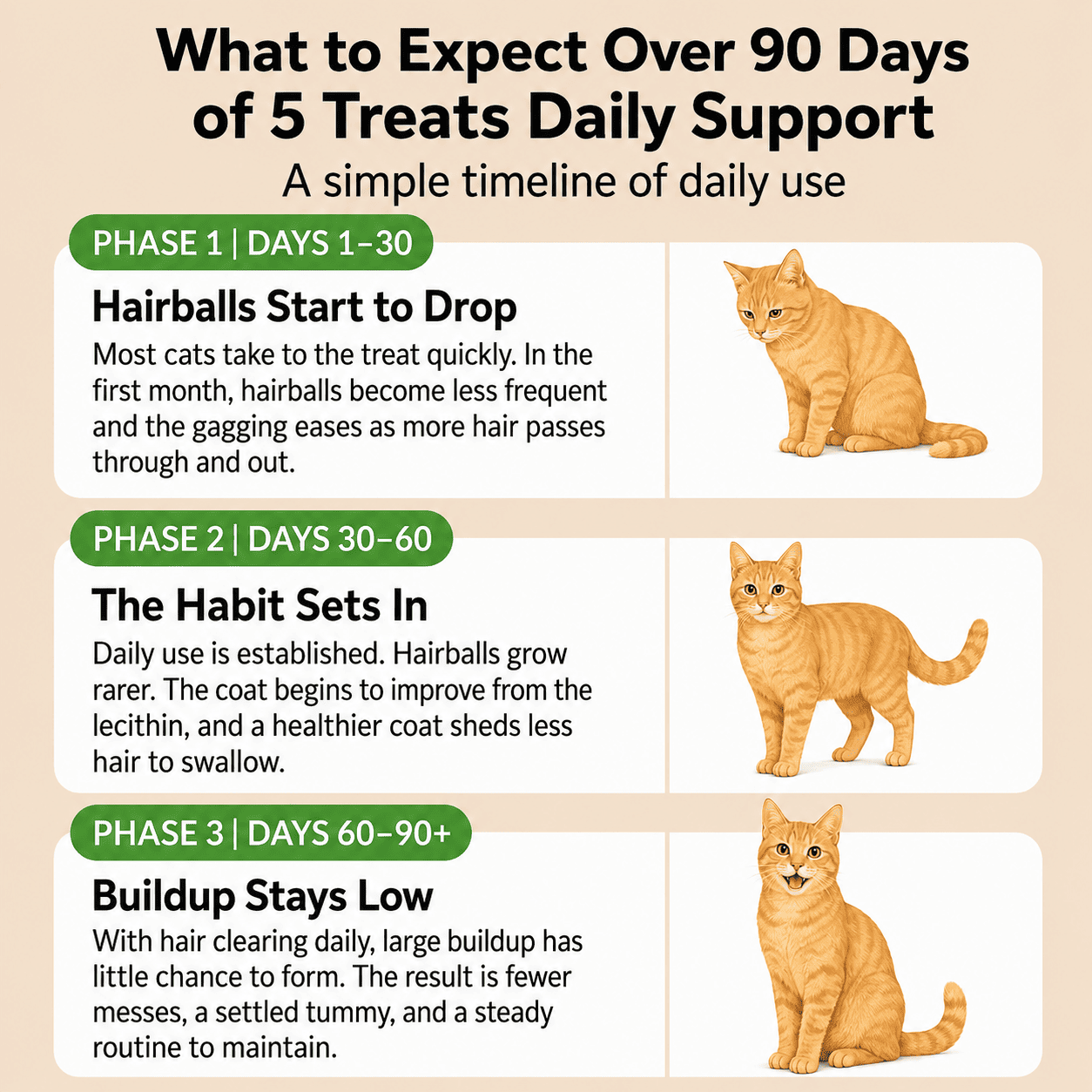 Feline Catgrass Crunchy Treats Cats Actually Eat Wimow™ - CalmiCat™