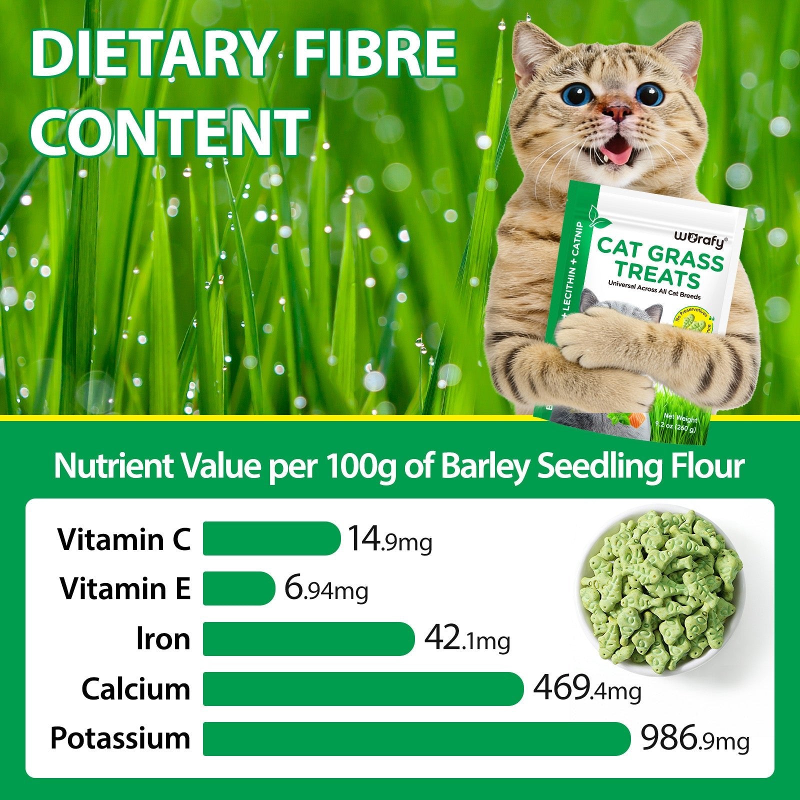 Feline Catgrass Crunchy Treats Cats Actually Eat Wimow™ - CalmiCat™