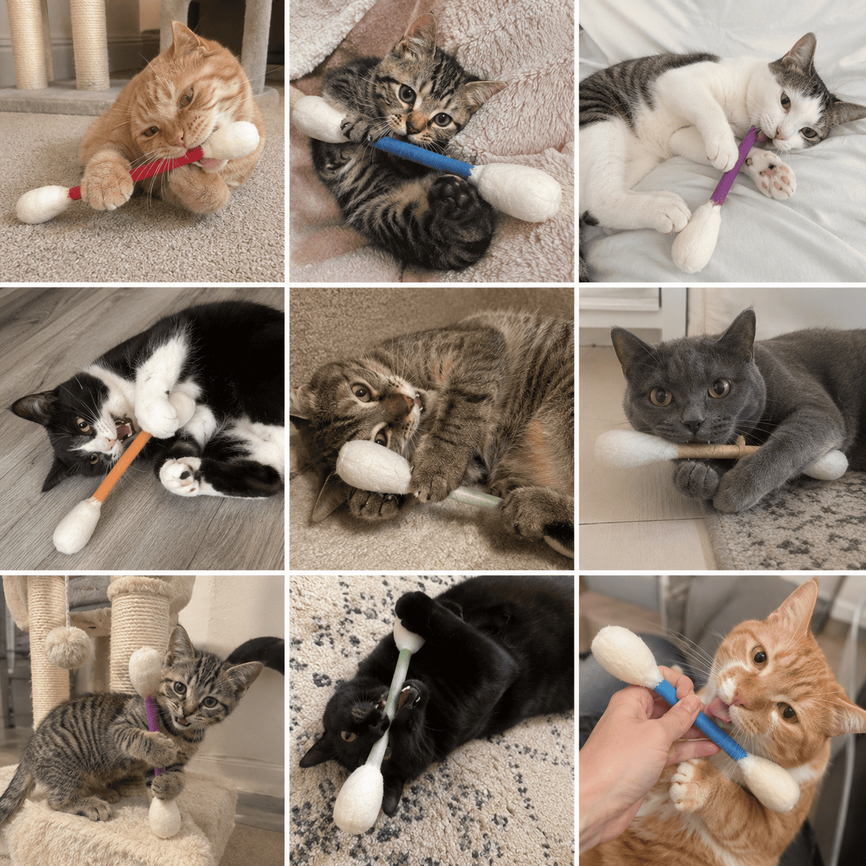 Kitty Q-Tip™ - 6 Pk | Durable for Chew, Cute Cat Toys Interactive Kitty for Boredom, Exercise, & Play | Filled w/Organic C - CalmiCat™